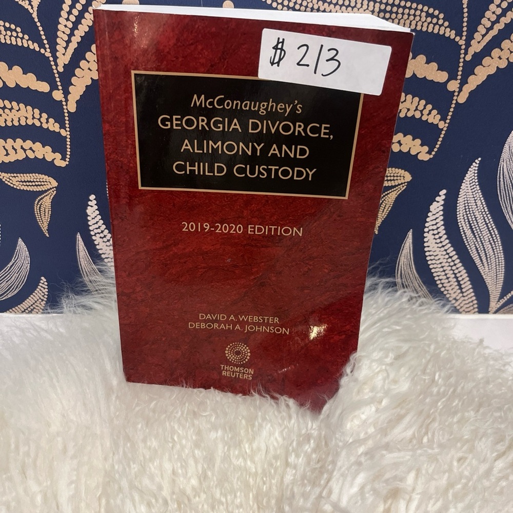 McConaughey’s Georgia Divorce, Alimony, And Child Custody Paperback